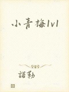 小青梅1v1