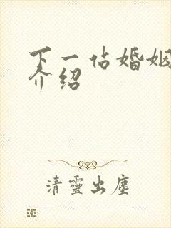 下一站婚姻剧情介绍