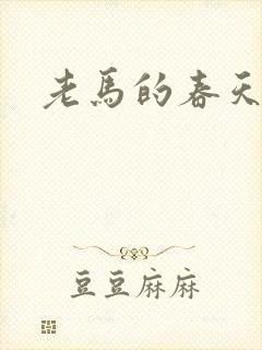 老马的春天敏静