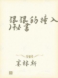 狠狠的撞入(h)秘书