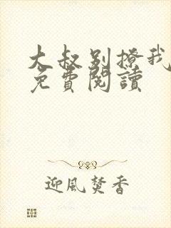 大叔别撩我小说免费阅读