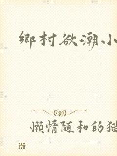 乡村欲潮小说
