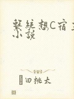 系统想C宿主的小说封面