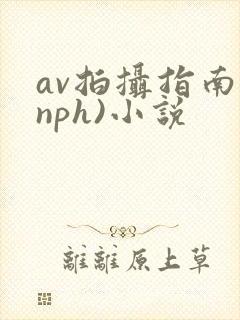 av拍摄指南(nph)小说