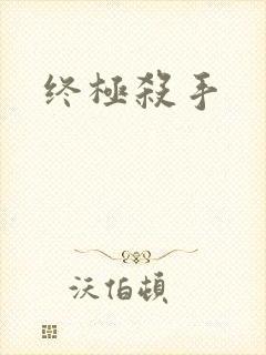 终极杀手封面