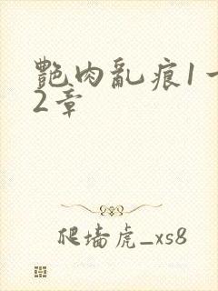 艳肉乱痕1一12章