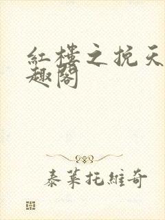 红楼之挽天倾笔趣阁
