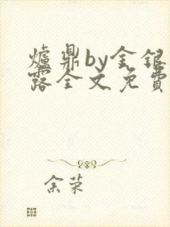炉鼎by金银花露全文免费阅读笔趣阁封面
