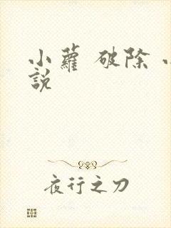 小萝 破除 小说