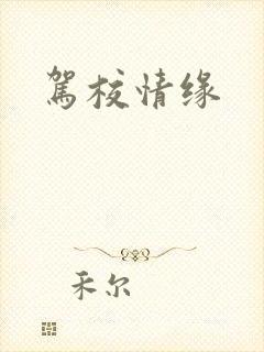 驾校情缘封面