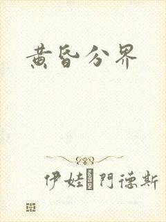 黄昏分界封面