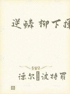 逆鳞 柳下挥