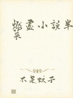 燃尽小说半截白菜