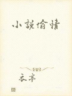 小说偷情封面