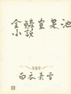 金鳞岂是池中物小说封面