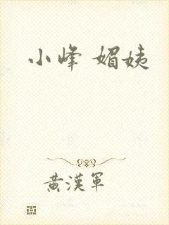 小峰 媚姨封面