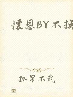 怀恩BY不换