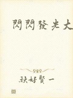 闪闪发光大团结封面