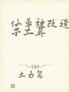 仙尊被改造成产子工具封面