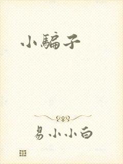 小骗子封面