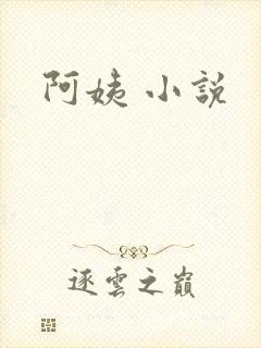 阿姨 小说