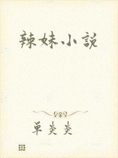 辣妹小说