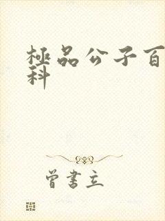 极品公子百度百科