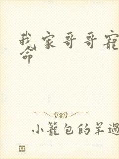 我家哥哥宠妹如命封面