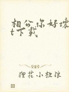 相公你好坏txt下载