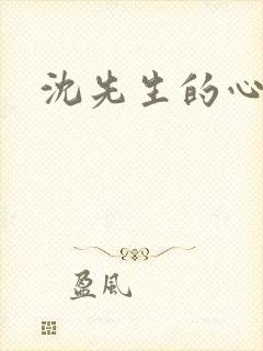 沈先生的心头宝