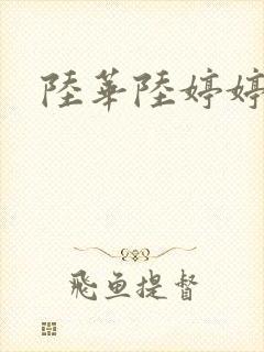 陆华陆婷婷