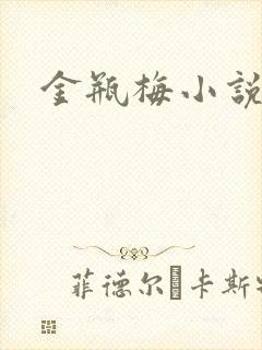 金瓶梅小说