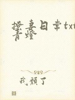 撩妻日常txt青灯