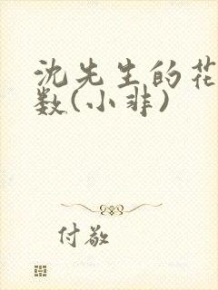 沈先生的花式调数(小非)