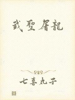 武圣屠龙封面