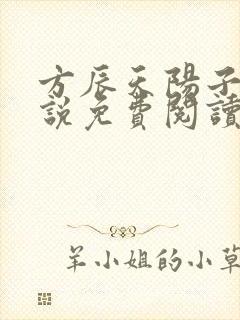 方辰天阳子的小说免费阅读