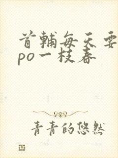 首辅每天要不够po一枝春封面