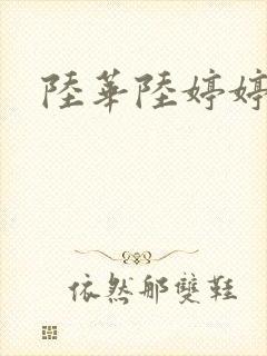 陆华陆婷婷封面