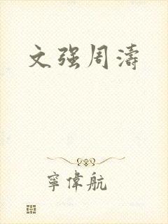 文强周涛封面
