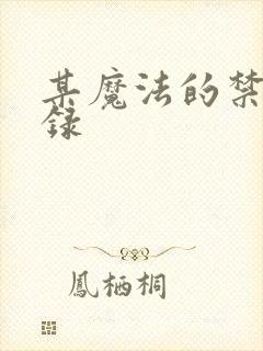 某魔法的禁书目录封面
