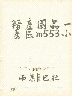 精产国品一二三产区m553小说封面