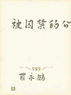 被囚禁的公主封面