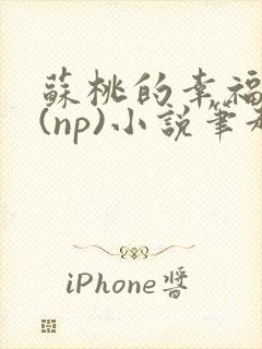 苏桃的幸福生活(np)小说笔趣阁沐沐