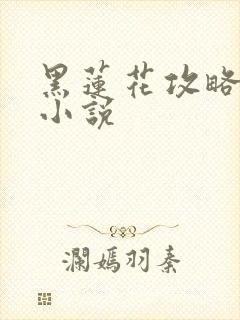 黑莲花攻略手册小说
