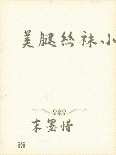 美腿丝袜小说