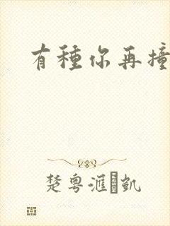 有种你再撞一下