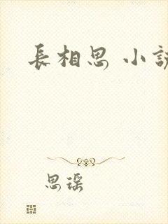 长相思 小说