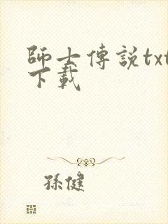 师士传说txt下载