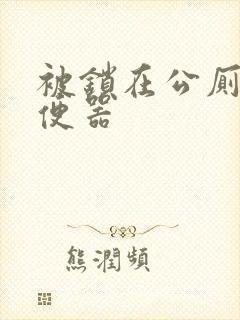 被锁在公厕当坐便器封面
