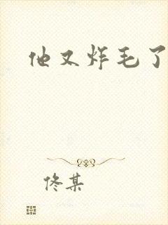 他又炸毛了封面